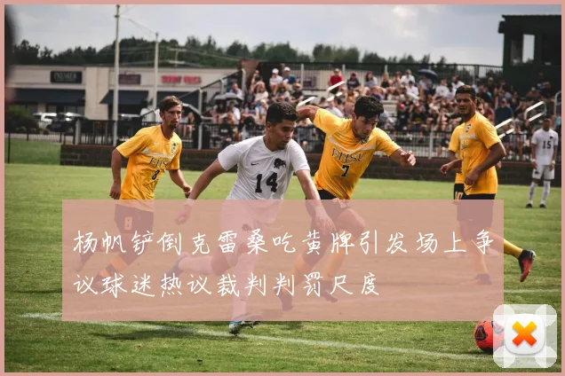杨帆铲倒克雷桑吃黄牌引发场上争议球迷热议裁判判罚尺度